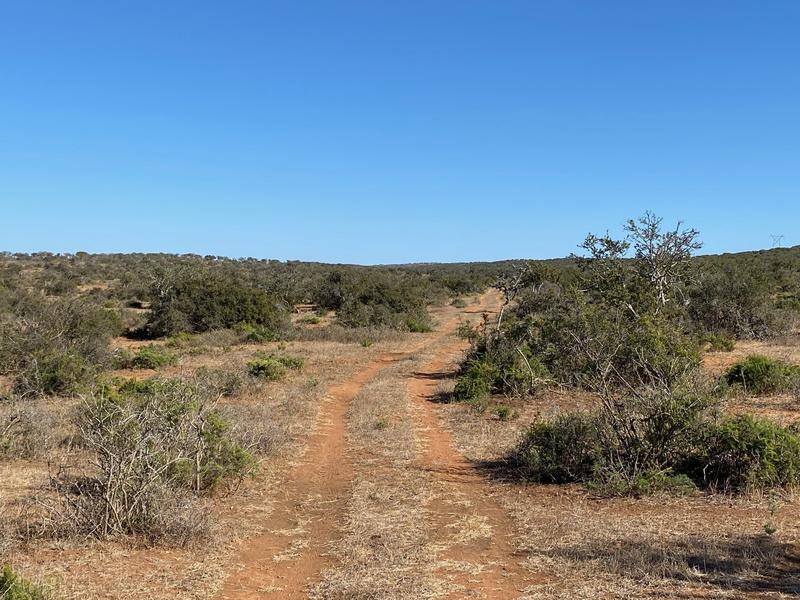 0 Bedroom Property for Sale in Kirkwood Eastern Cape